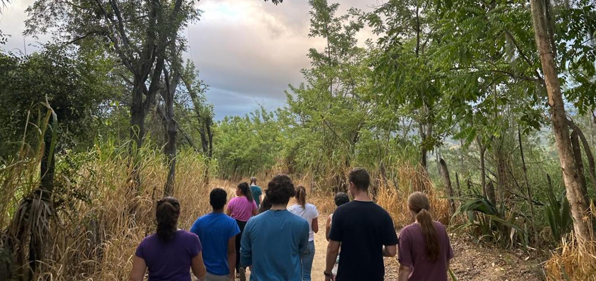 group walking down a road