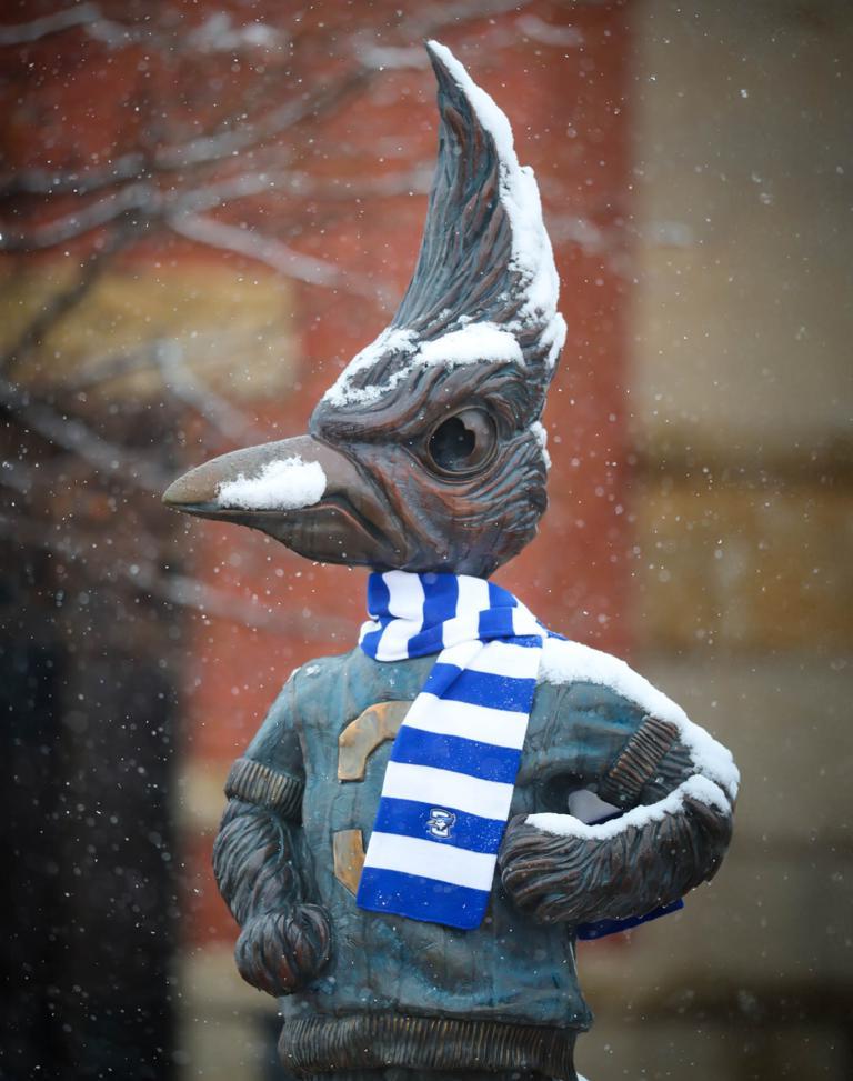 雪中的冠蓝鸦比利雕像